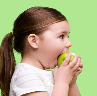 Child Nutrition Food Guide